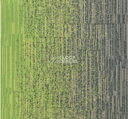 Ковровая плитка Milliken LayLines llt 141-103-173-06 Zing-Sweater фото 1 | FLOORDEALER